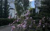 Фото туриста из тура «Классическое Золотое кольцо России из Москвы. От Сергиева Посада до Владимира»