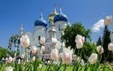Ростов Великий, Переславль-Залесский и Сергиев Посад