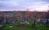 Поселок Гимолы. Треккинг на гору Воттоваара