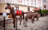 365 SPB