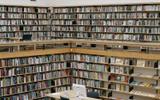 Экскурсия в Кронштадт. Посещение библиотеки Алвара Аалто. Экскурсия по центру Выборга
