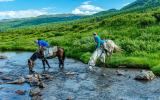 Погружение в Алтай и Нижняя Катунь. Конно-водный тур