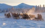 Переезд до поселка Усть-Нера