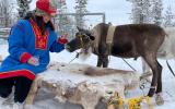 Пятница. Этническая программа