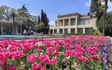 Ливадийский дворец, Ялта, Никитский ботанический сад