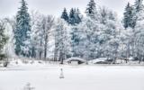 Воскресенье. Загородная экскурсия в Царское Село