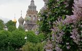 Фото туриста из тура «Классический летний Петербург на 5 дней»