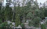 Фото туриста из тура «В Карелию с посещением горы Сампо, Двора Халла и Марциальных вод. Железнодорожный круиз»