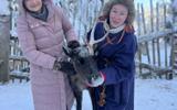 Этническая саамская деревня