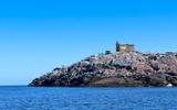 Териберка: выход в море на поиски китов