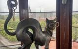 Фото туриста из тура «Прусская Европа. Тур в Калининградскую область»