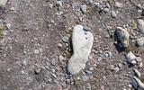 Фото туриста из тура «Большое путешествие по Карелии и Соловкам»