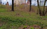Фото туриста из тура