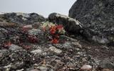 Фото туриста из тура «Горы, море и водопады Кольского полуострова»