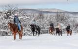 Конный маршрут. Термальные источники