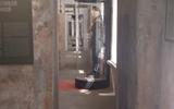 Фото туриста из тура «Знакомый и незнакомый Петербург»