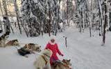 Парк «Северное сияние». Ловозеро. Отправление на турбазу