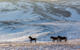 Хужир - Хобой - Хужир. Новогодний банкет