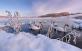 Экскурсионный тур по окрестностям Пскова с отдыхом в Печорах