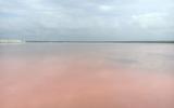 Прилет в Астрахань. Экскурсия по Меклетинскому заповеднику