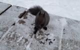 Фото туриста из тура «»