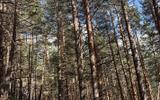 Фото туриста из тура «Треккинг в Приэльбрусье без рюкзаков»