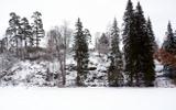 Скальный пейзажный парк Монрепо. Отправление в Санкт-Петербург