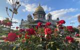 Прибытие в Санкт-Петербург. Свободный день