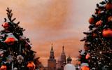 6 января. Экскурсия по Москве с посещением территории Кремля