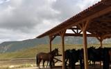 Фото туриста из тура «Рассвет в горах Дагестана. Всё включено»