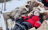 Парк "Северное сияние". Ловозеро. "Охота" на северное сияние