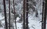 Фото туриста из тура «Снежный Карьяла-выходной. Новогодний тур в Карелию на 2 дня»