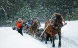 Через три заповедника Урала. Экскурсионный тур