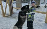 Фото туриста из тура «За китами под яркие огни. Полное погружение на Кольском»