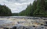 Фото туриста из тура «Выходные на реке Шуя. Сплав на 3 дня в Карелии»