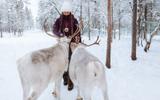 Саамская деревня