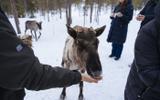 Этническая деревня
