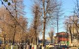 Владикавказ