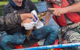 Фото туриста из тура «Пять дней на Шуе. Сплав на рафтах в Карелии»