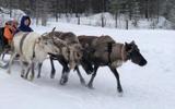 Этническая программа