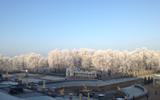 Петергоф