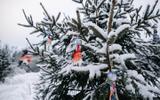 Мастер-классы по калиткам и по елочной игрушке. Свободное время или активности за доп. плату