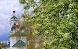 Фото туриста из тура «»