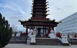 Фото туриста из тура «Тюльпановая Калмыкия. Сокращенная программа»
