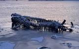 Териберка. Морская прогулка. Возвращение в Мурманск