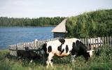 Фото туриста из тура «»