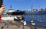 Фото туриста из тура «В Калининград в любой день. Цикличный тур на 7 дней»