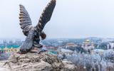 Прибытие. Обзорная экскурсия в Пятигорске