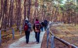 Куршская коса и Зеленоградск