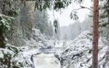 Центр Шунгита. Водопад Кивач. Курорт «Марциальные воды». Гора Сампо